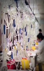 -首都医科大学附属北京儿童医院