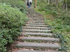 -南京老山国家森林公园