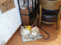 -元氏钵仔糕(北京路店)