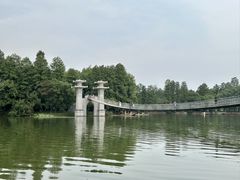 -东湖落雁景区