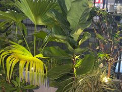 -木屋烧烤(坂田天安云谷店)