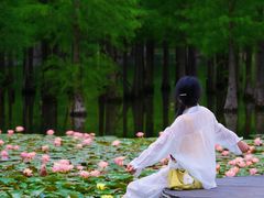 -白鹭湾湿地公园