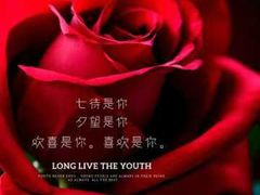 -石家庄万象城