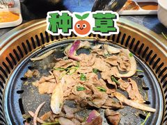 -杨记齐齐哈尔烤肉(五莲路店)