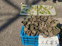 -中环花鸟鱼虫市场