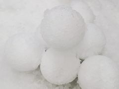 -Mr·Kuma酷么先生雪之乐园