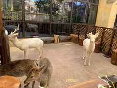 -杭州开元森泊度假乐园
