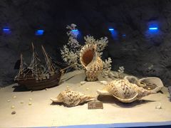 -北海·海洋之窗