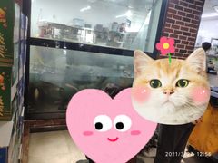 -肥鱼屯活鱼锅(惠工街店)