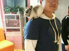 -藦茜花园宠物主题亲子互动体验馆(国顺东路店)