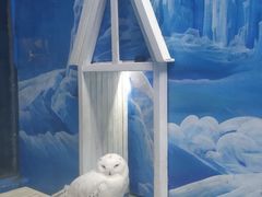 -成都浩海立方海洋公园