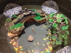 -舜和枣庄大酒店