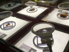 -上海昆虫博物馆