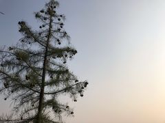 -山湖温泉