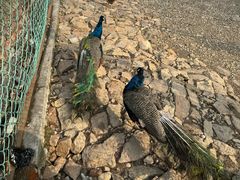 -南京金牛湖风景区