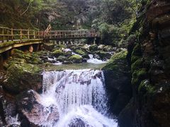 -牛背梁国家森林公园