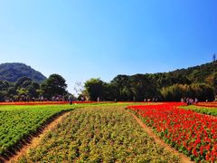 -广州市石门国家森林公园