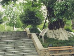 -沙河三洞古桥公园