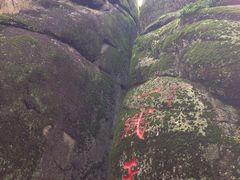 -汤旺河林海奇石景区