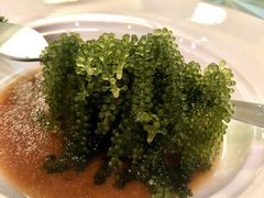 -食锦斋(塔头店)