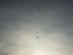 -白塘生态植物园