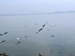 -深圳湾公园(南山区)