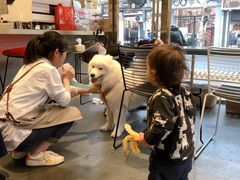 -KYO COFFEE(胶州路店)