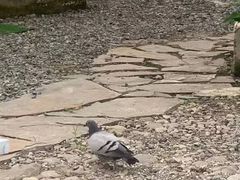 -安德鲁户外烧烤帐篷营地(马泉营店)