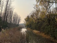 -昆山城市生态森林公园