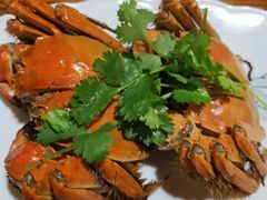 -呼吸森林·生态农庄农家乐私房菜