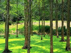 -天目湖涵田度假村