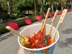 -武汉园博园(武汉自然博物馆)