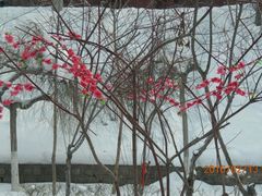 android_upload_pic-水磨沟公园