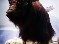 -中国湿地博物馆