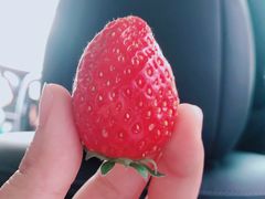 -真枪会射击俱乐部(河西中央公园店)