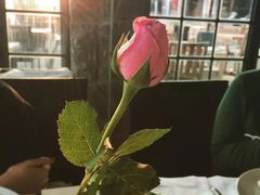 -费特希耶滑翔伞