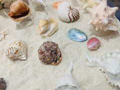 -福州罗源湾海洋世界旅游区