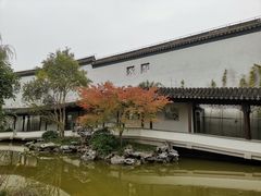 -秋霞圃