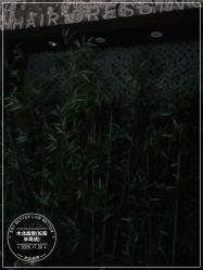 -木北造型