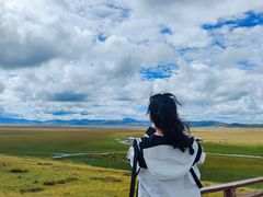 -郭莽湿地