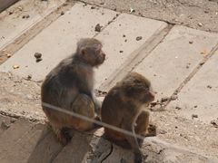 -青藏高原野生动物园