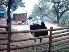 -西安秦岭野生动物园