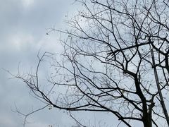 -飞来湖湿地公园