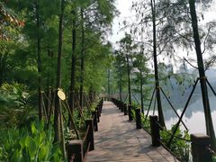 -重庆彩云湖湿地公园