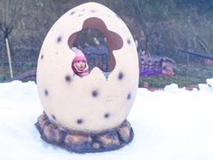 -梦幻奥陶纪景区