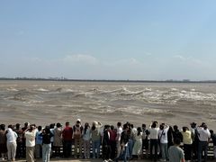 -观潮胜地公园