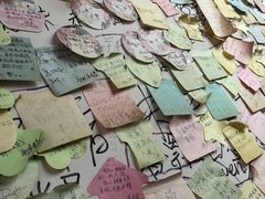 -九华山友谊土菜馆 小资餐厅