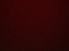 -陈亨卤煮小肠(广安门店)