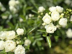 -上海交通大学(闵行校区)