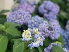 -三利音·浦之舟(滨江大道店)